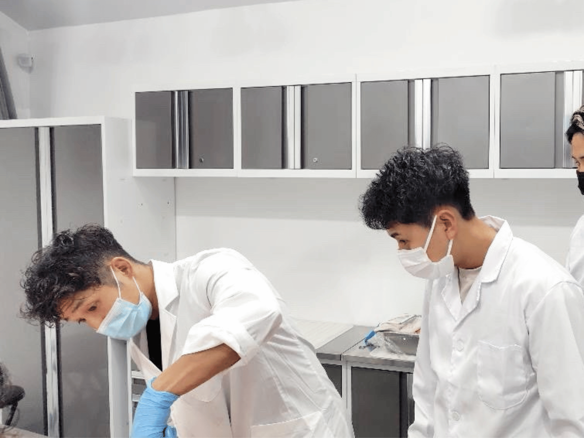 Institute for Anatomical Research 人体解剖実習